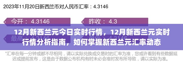 12月新西兰元实时行情分析与汇率动态掌握指南