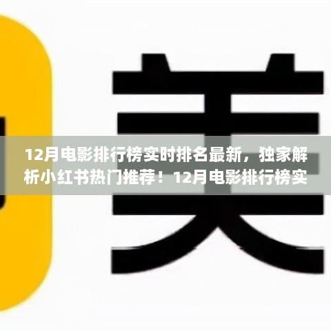 2024年12月25日 第17页