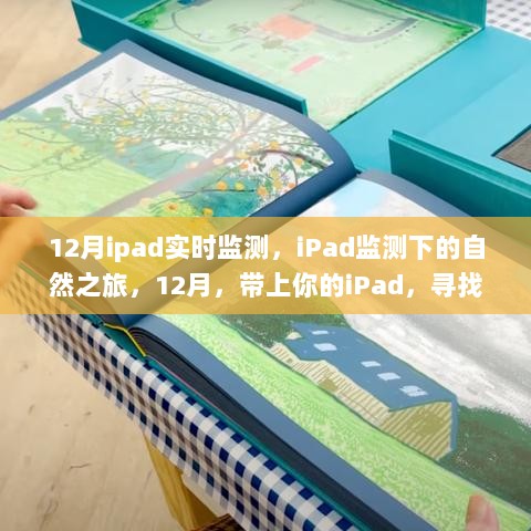 iPad监测下的自然之旅，十二月宁静美景探寻