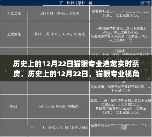 历史上的12月22日，猫眼视角下的追龙实时票房深度解析