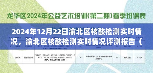 渝北区核酸检测实时评测报告，2024年12月22日版最新数据解析