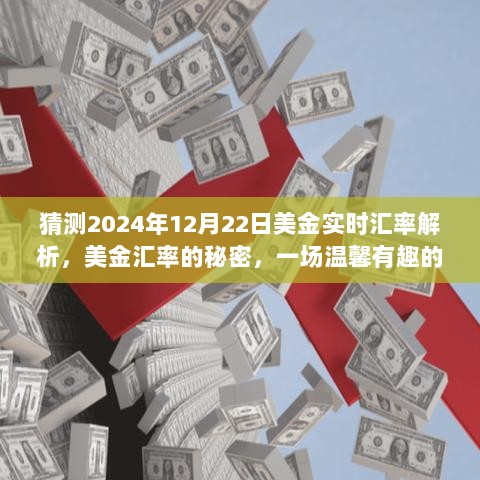 揭秘未来汇率之旅，美金汇率预测与解析，探寻2024年汇率秘密的温馨之旅