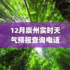 小红书推荐，12月崇州天气预报查询电话，实时掌握天气动态