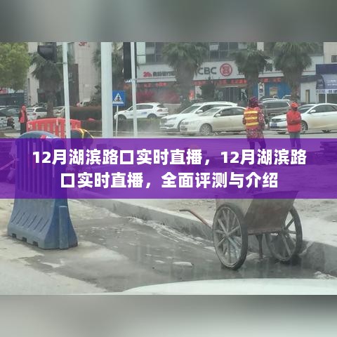 湖滨路口12月实时直播，全面评测与介绍