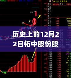 深度探讨，历史上的12月22日柘中股份股票实时走势分析与观点阐述