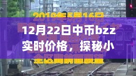 探秘小巷深处的宝藏，中币BZZ实时价格的奇妙之旅