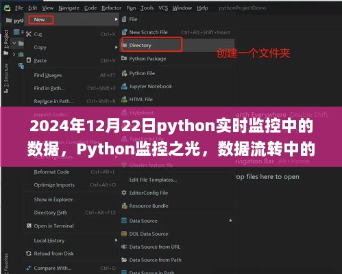 Python监控之光，数据流转中的自信与成长之路——实时数据监控的进阶之路（日期，2024年12月22日）