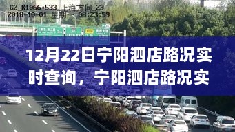 宁阳泗店路况实时查询，无忧出行，掌握路况信息