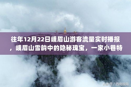 峨眉山雪韵秘境，一家小巷特色小店的奇遇记与游客流量实时播报