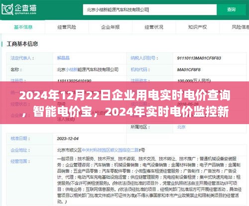智能电价宝引领企业用电透明新时代，实时电价监控与查询开启新纪元