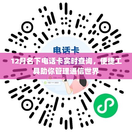 实时查询电话卡信息，便捷管理你的通信世界