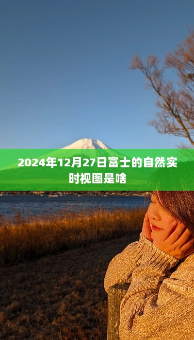 富士相机实时视图功能揭秘，自然实时视图体验，尽在2024年12月27日