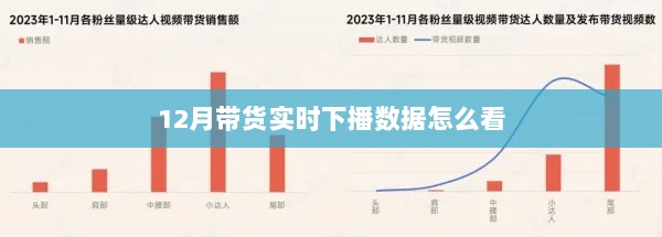 如何解读12月带货直播结束后的实时数据报告分析