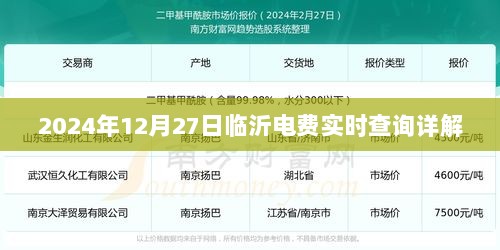 临沂电费实时查询指南，最新更新，2024年查询详解