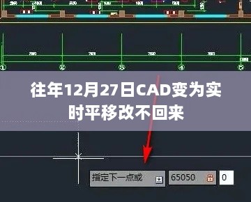 CAD实时平移功能异常调整指南