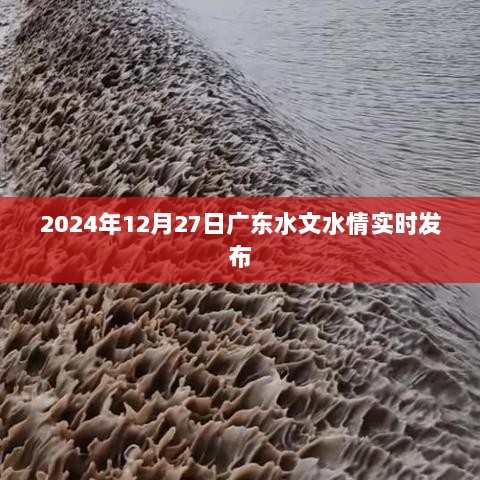 广东水文水情实时发布系统，最新数据尽在掌握