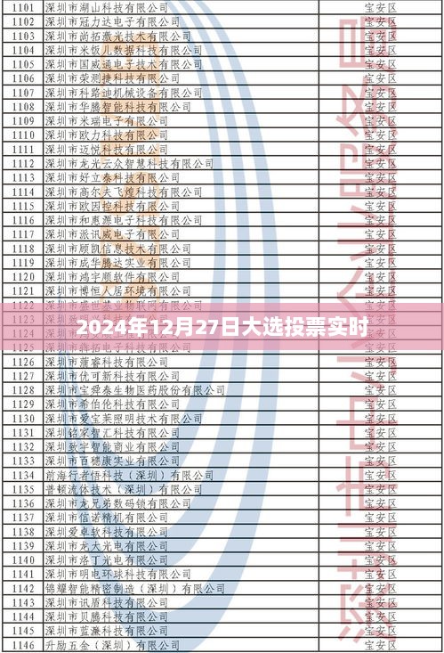 建议，2024年大选投票实时进展跟踪报道