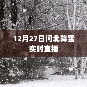 河北降雪实况直播，12月27日雪景一览