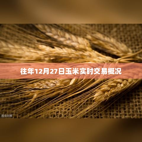 玉米交易概况，往年12月27日实时动态