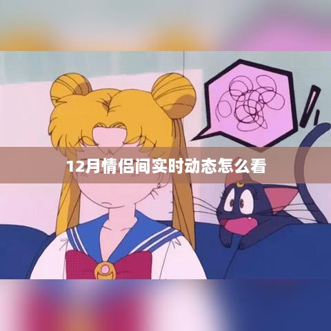 情侣间实时动态观察指南，12月甜蜜互动全解析