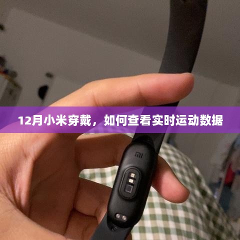 小米穿戴设备查看实时运动数据指南