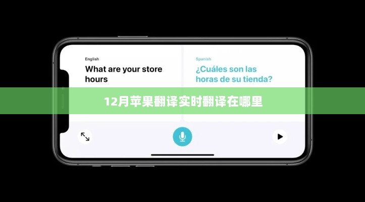 苹果实时翻译功能位置介绍