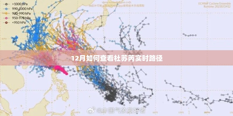 杜苏芮实时路径查询，12月天气预报更新