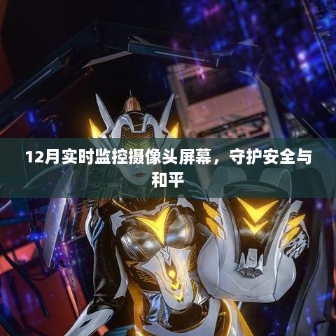 12月实时监控，守护安全与和平的摄像头观察