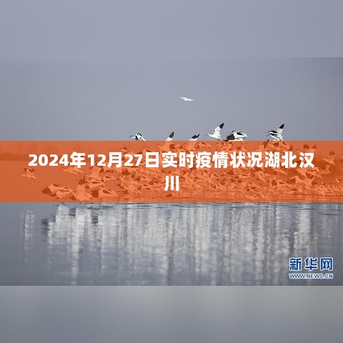 湖北汉川实时疫情状况更新（2024年12月27日）