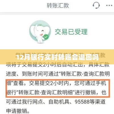 银行实时转账退款规则解析