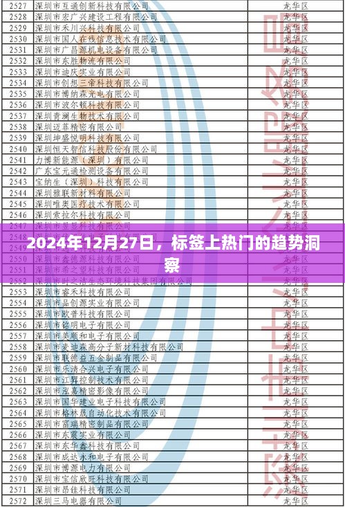 2024年12月27日热门标签趋势洞察揭秘