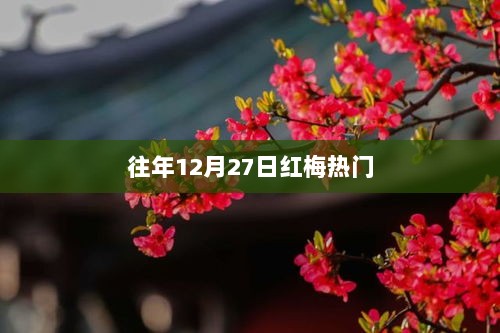 往年12月27日红梅盛事回顾