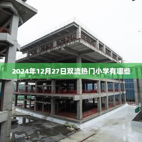 双流热门小学盘点，2024年最新榜单揭晓