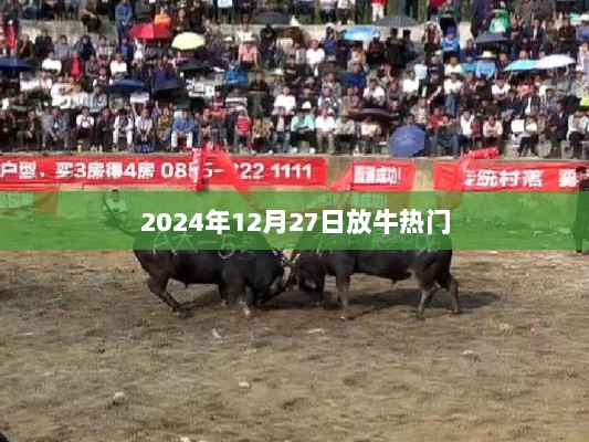 放牛热门，探寻未来趋势，洞悉行业先机（2024年热点）