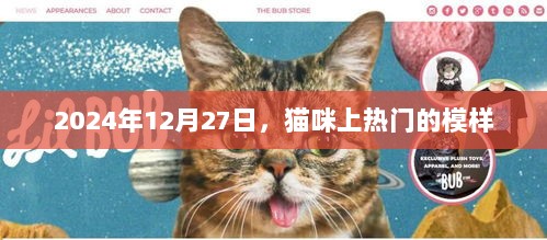 猫咪热门风采，2024年12月27日的瞩目瞬间