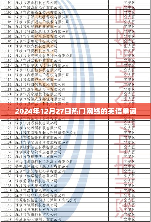 2024年12月热门英语单词一网打尽