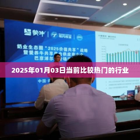 热门行业概览，探寻未来趋势，洞悉市场脉动（2025年）