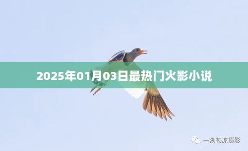 火影小说，未来热门之选（2025年1月3日）