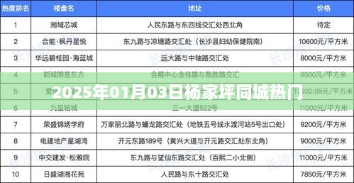 杨家坪同城热门活动一览（2025年1月3日）