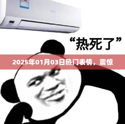 震惊表情来袭！2025年元旦流行表情一网打尽！