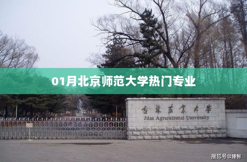 北京师范大学一月热门专业榜单揭晓