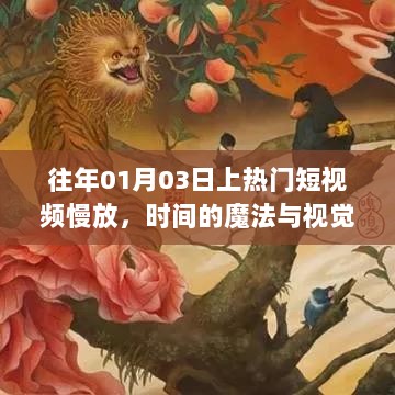 热门短视频慢放，时间的魔法与视觉盛宴