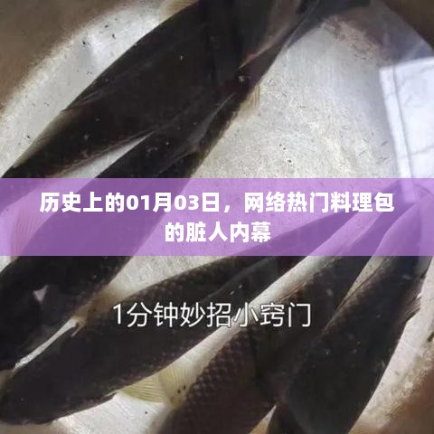 揭秘网络热门料理包内幕，脏人历史背后的真相（标题建议）