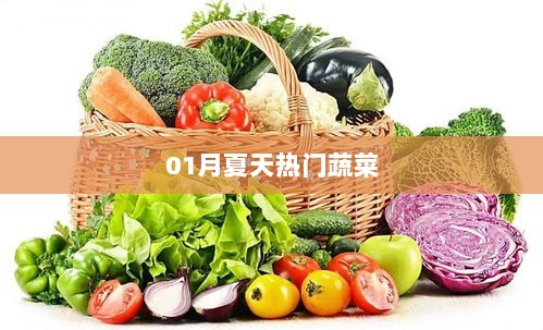 夏季热门蔬菜榜单