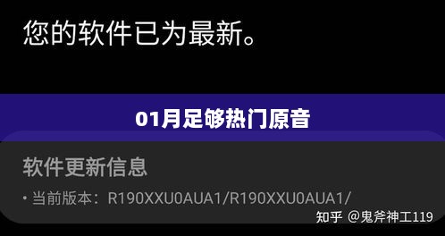 热门原音回顾，一月精彩不容错过