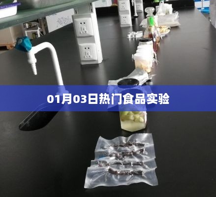 热门食品实验，最新动态揭秘