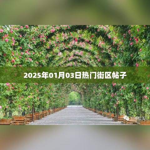 『2025年1月3日街区热议帖子大揭秘』