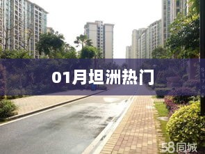 坦洲一月热门热点