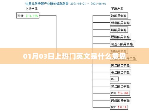 热门英文一月三日含义解析