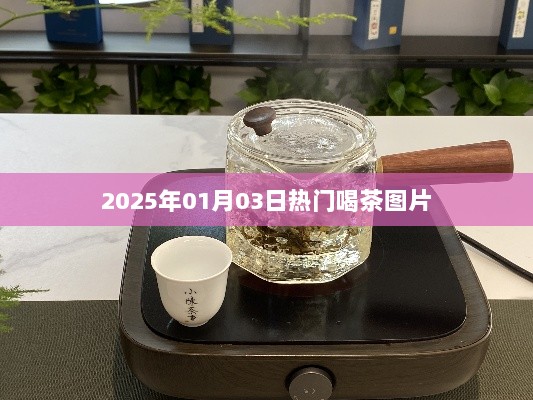 『每日热图，2025年1月3日精选品茶美图』